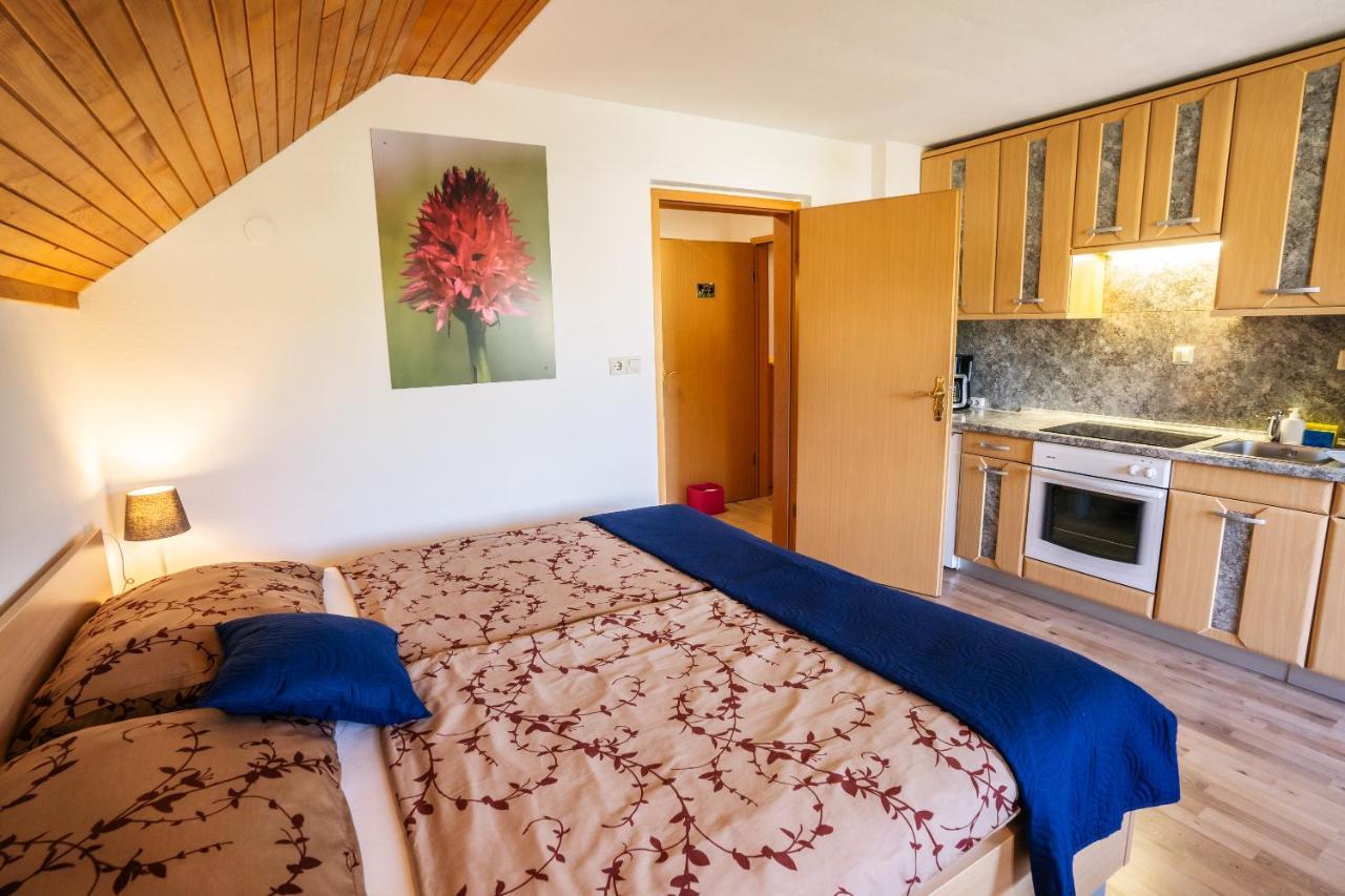 Apartmaji Alpski Cvet - Hisa Gorenc Bohinj Εξωτερικό φωτογραφία