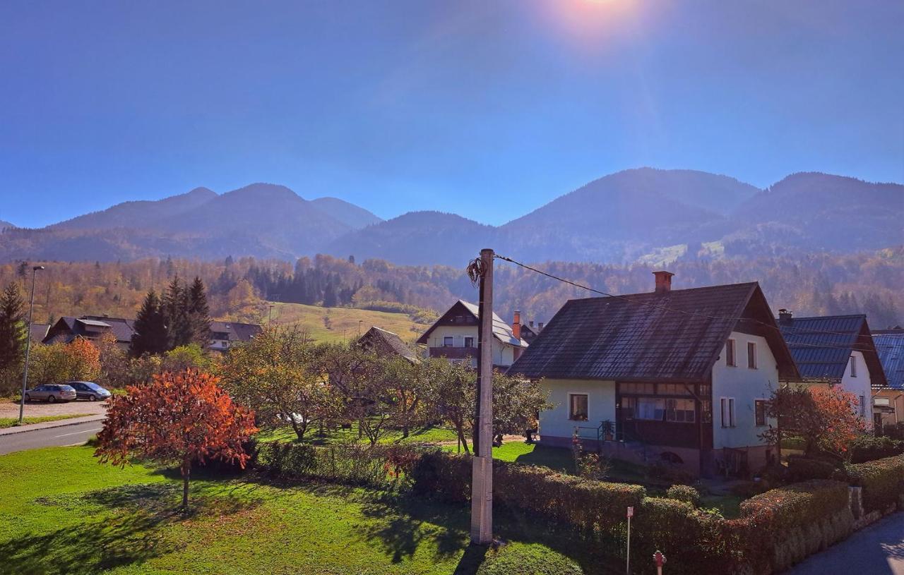 Apartmaji Alpski Cvet - Hisa Gorenc Bohinj Εξωτερικό φωτογραφία