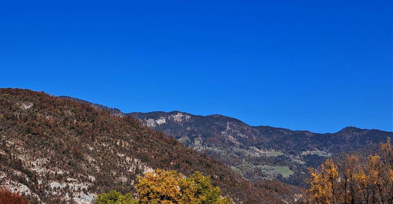 Apartmaji Alpski Cvet - Hisa Gorenc Bohinj Εξωτερικό φωτογραφία