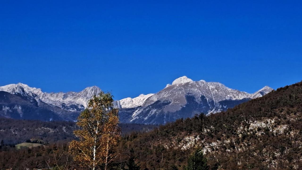 Apartmaji Alpski Cvet - Hisa Gorenc Bohinj Εξωτερικό φωτογραφία