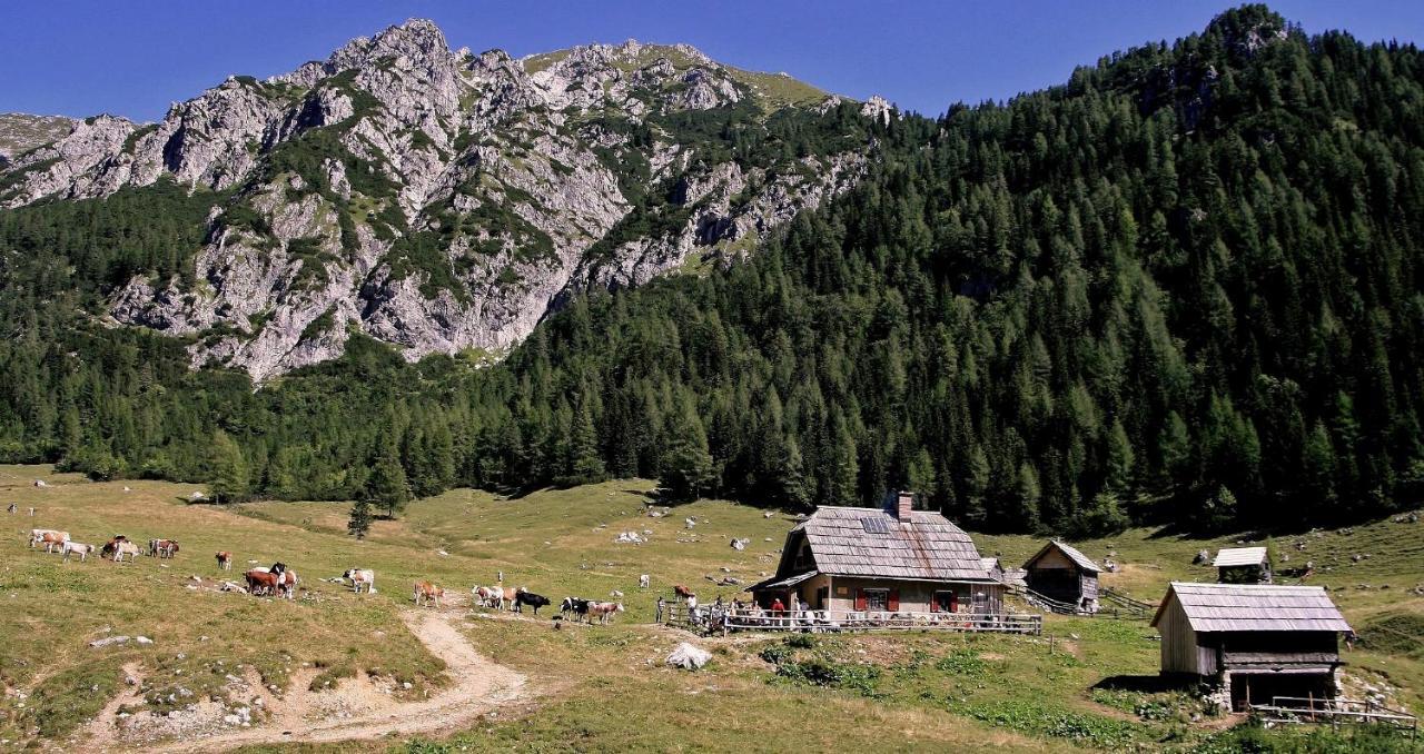 Apartmaji Alpski Cvet - Hisa Gorenc Bohinj Εξωτερικό φωτογραφία