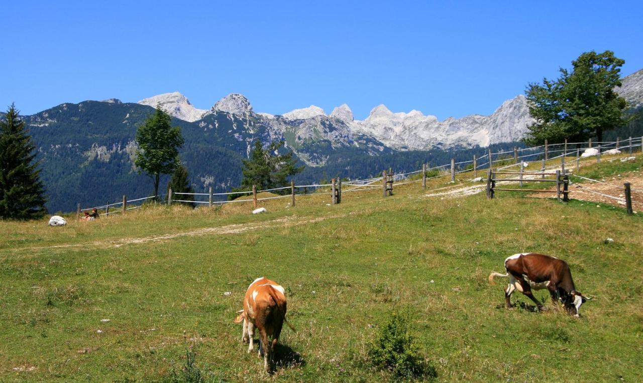Apartmaji Alpski Cvet - Hisa Gorenc Bohinj Εξωτερικό φωτογραφία