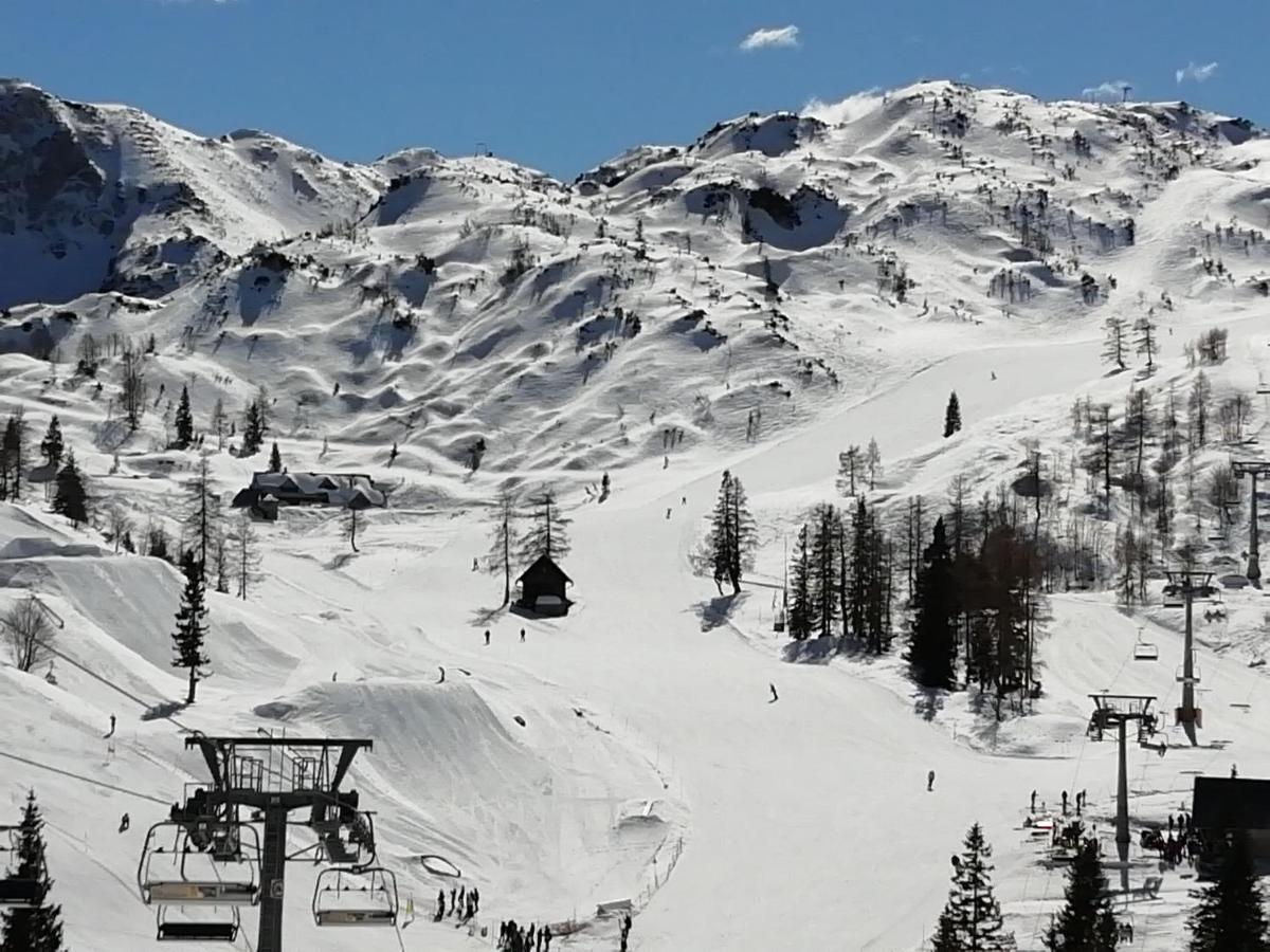 Apartmaji Alpski Cvet - Hisa Gorenc Bohinj Εξωτερικό φωτογραφία