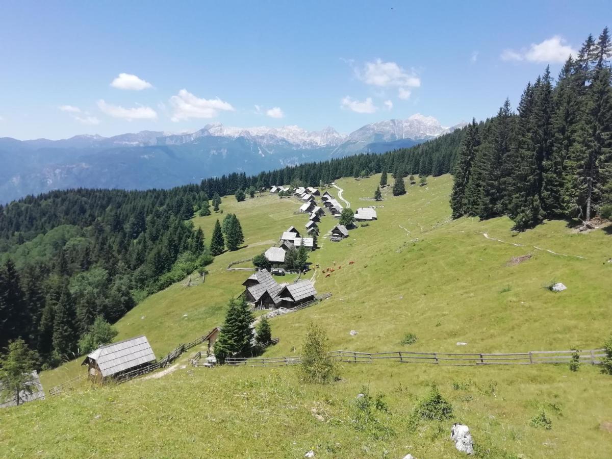 Apartmaji Alpski Cvet - Hisa Gorenc Bohinj Εξωτερικό φωτογραφία